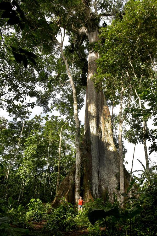 Misahualli Amazon Lodge Exteriér fotografie