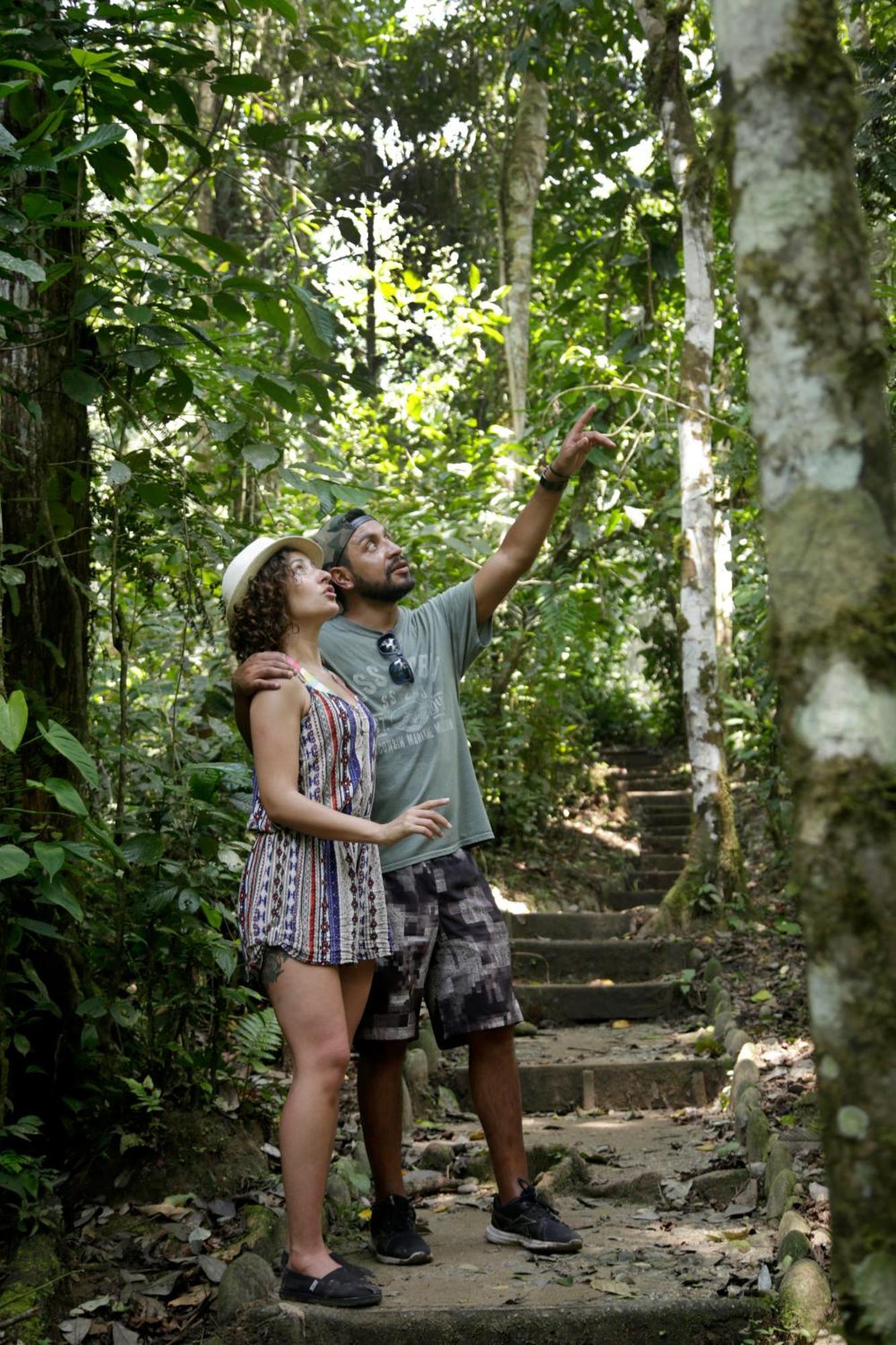 Misahualli Amazon Lodge Exteriér fotografie