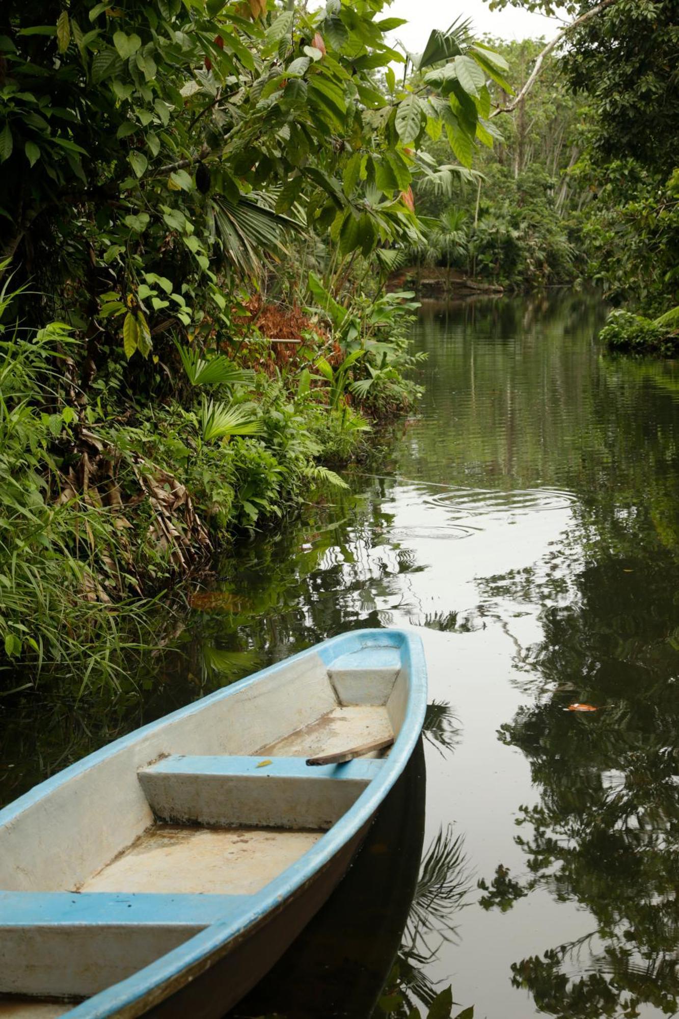 Misahualli Amazon Lodge Exteriér fotografie
